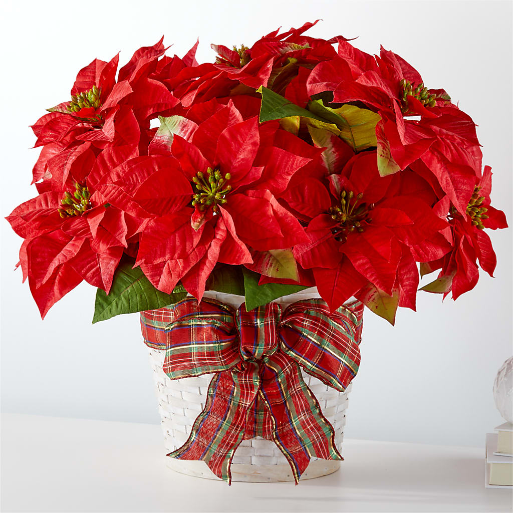 Happiest Holidays Poinsettia – B Floral, Coalville UT