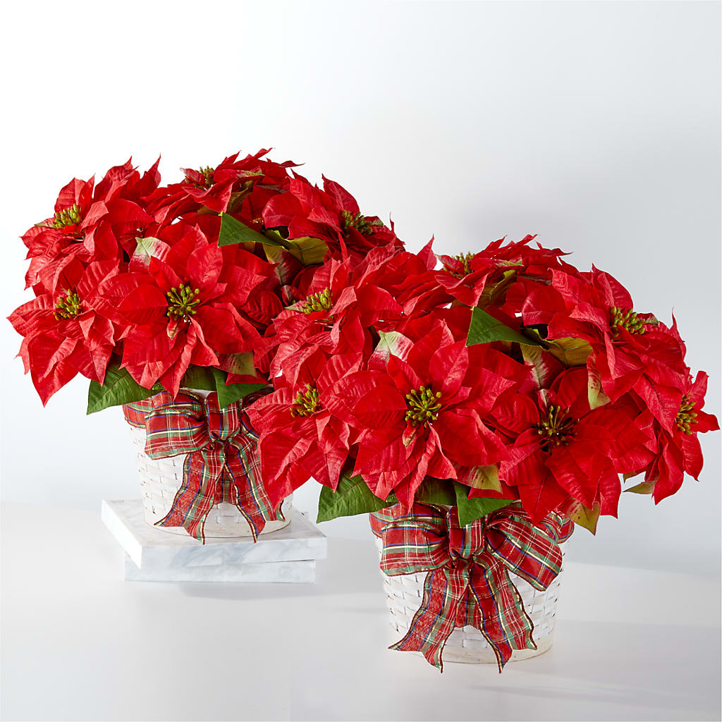 Happiest Holidays Poinsettia Bundle – B Floral, Coalville UT