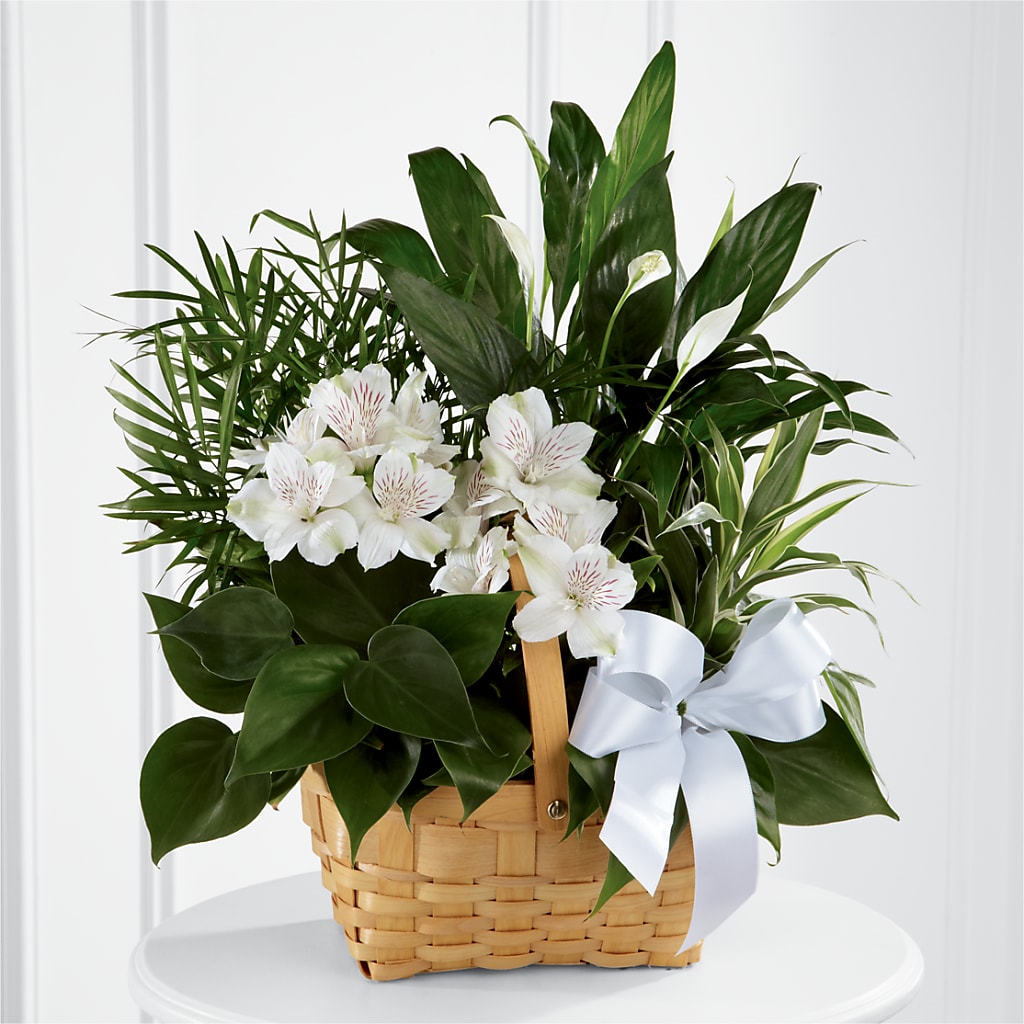 Peace & Serenity Dishgarden – B Floral, Coalville UT