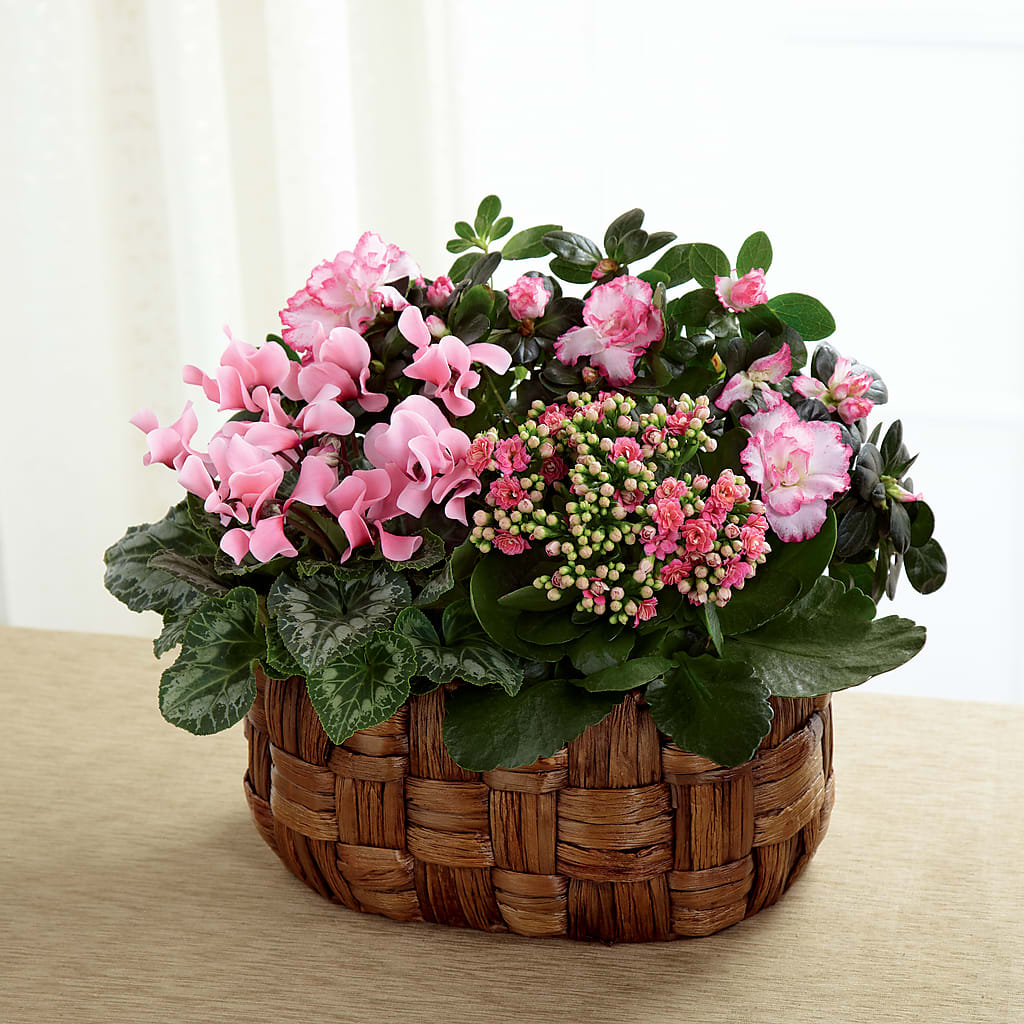 Pink Assortment – B Floral, Coalville UT