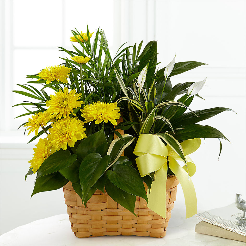 Loving Light Dishgarden – B Floral, Coalville UT