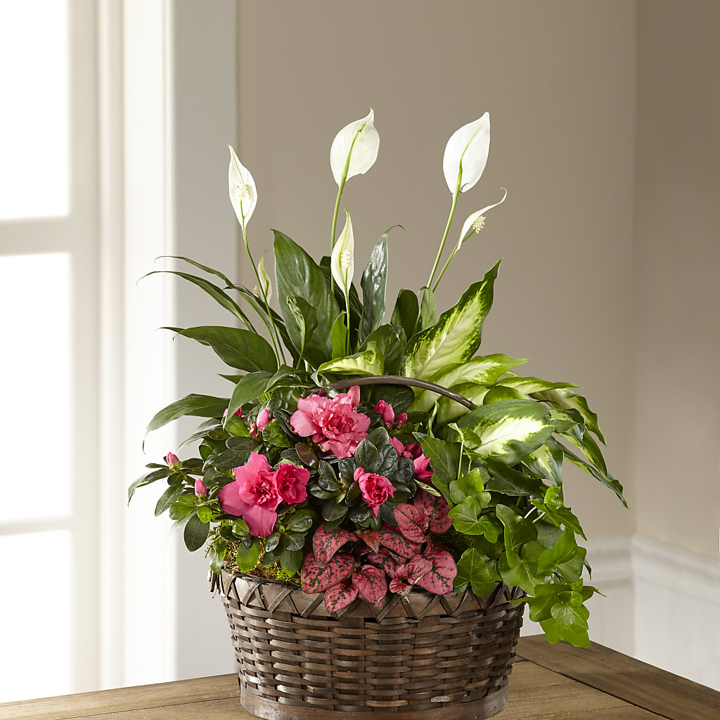 Dream in Pink Dishgarden – B Floral, Coalville UT