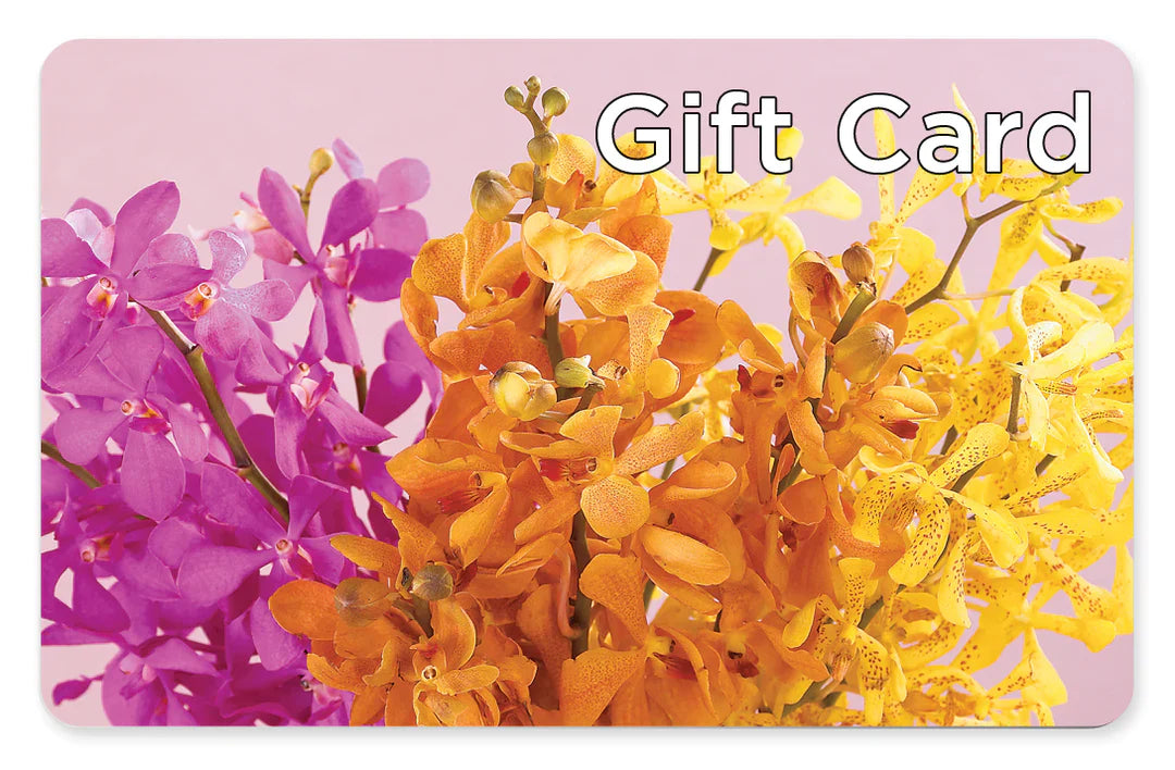 Gift Card – B Floral, Coalville UT