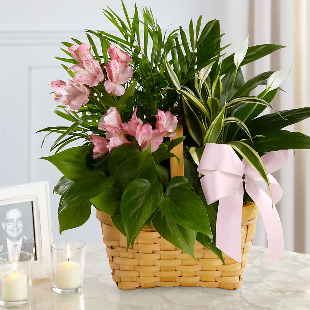 Living Spirit Dishgarden – B Floral, Coalville UT