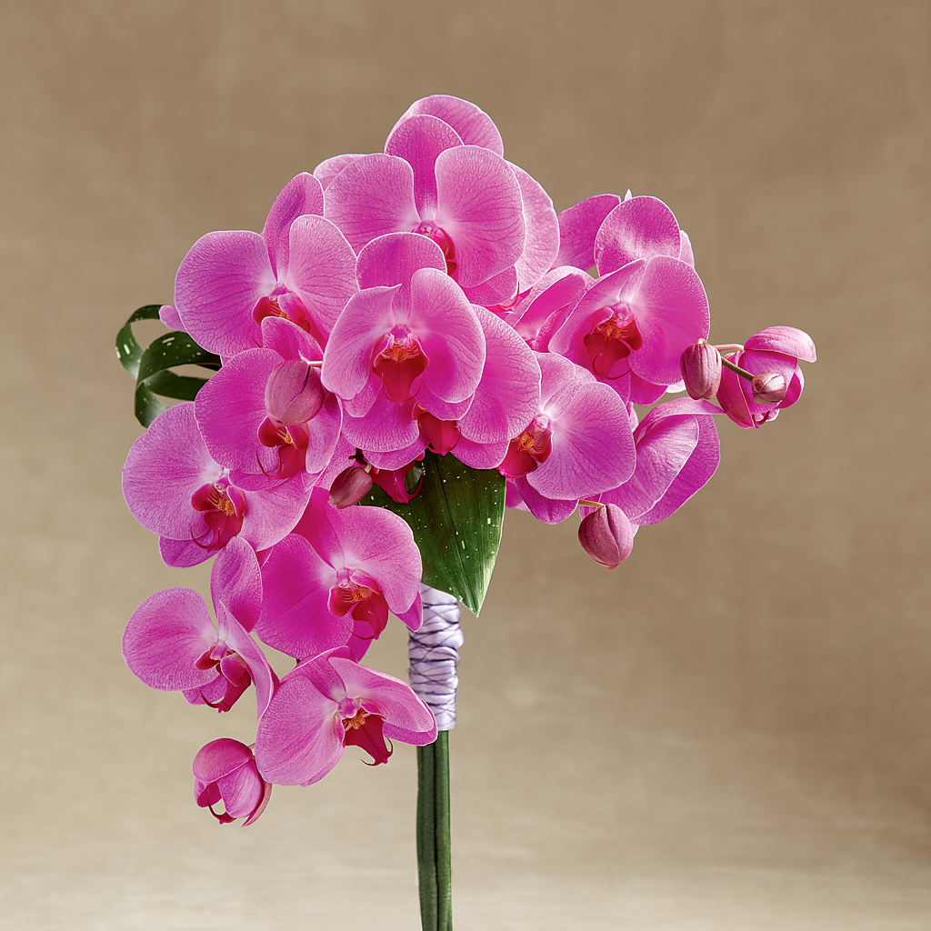 Glorious Bouquet – B Floral, Coalville UT
