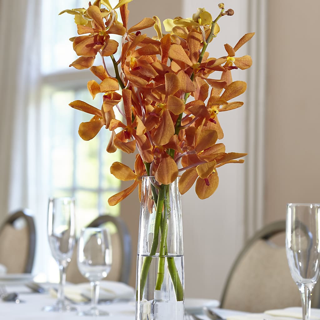 Orange Mokara Bud Vase – B Floral, Coalville UT