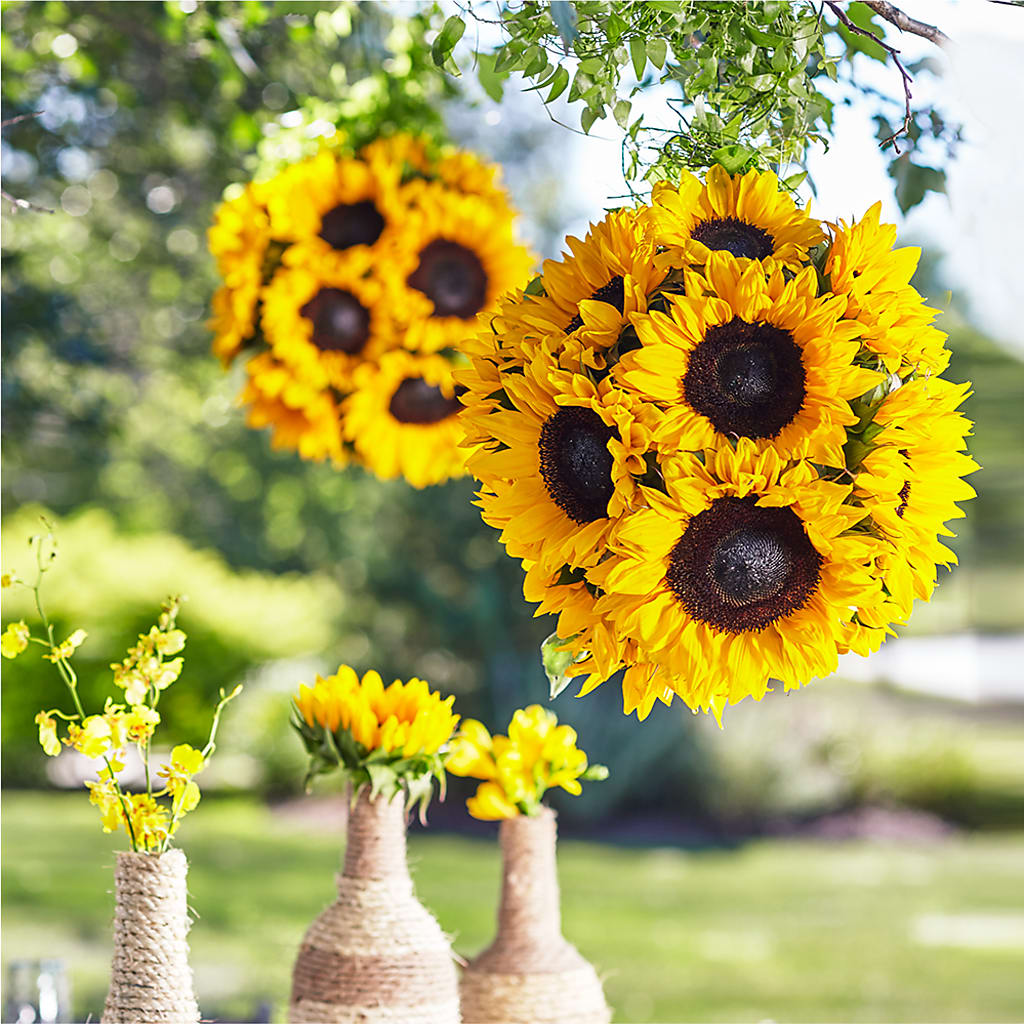 Sublime Garden Hanging Arrangement – B Floral, Coalville UT