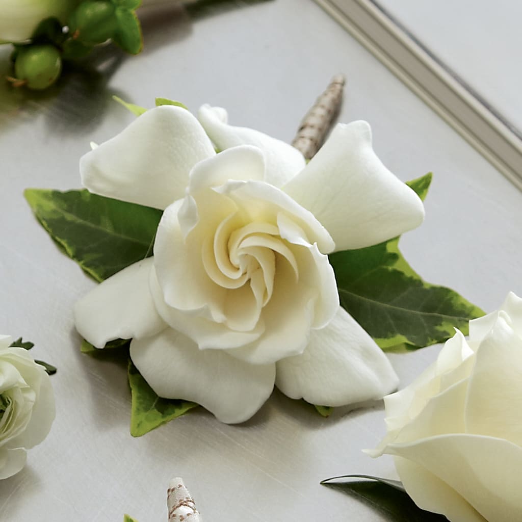 Gardenia Boutonniere – B Floral, Coalville UT