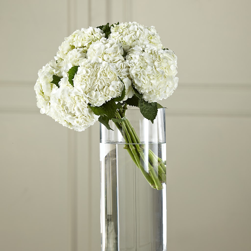 White Hydrangea Hand-Tied Bouquet – B Floral, Coalville UT