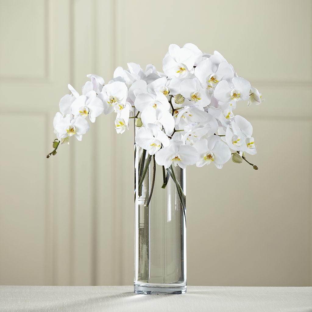 White Phalaenopsis Bouquet – B Floral, Coalville UT