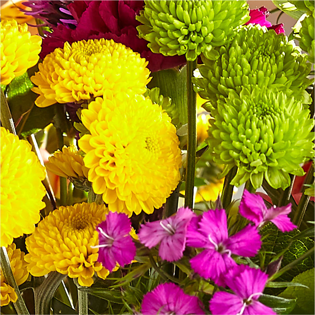 Bold & Bright – A Florist Original –  B Floral, Coalville UT