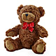 Adorable Plush Bear –  B Floral, Coalville UT
