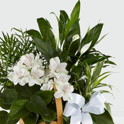 Peace & Serenity Dishgarden –  B Floral, Coalville UT