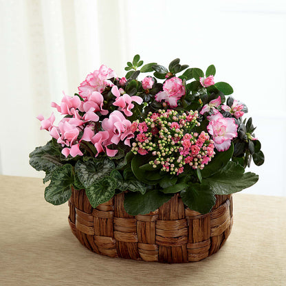 Pink Assortment –  B Floral, Coalville UT