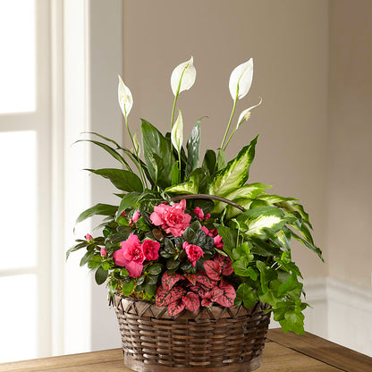 Dream in Pink Dishgarden –  B Floral, Coalville UT