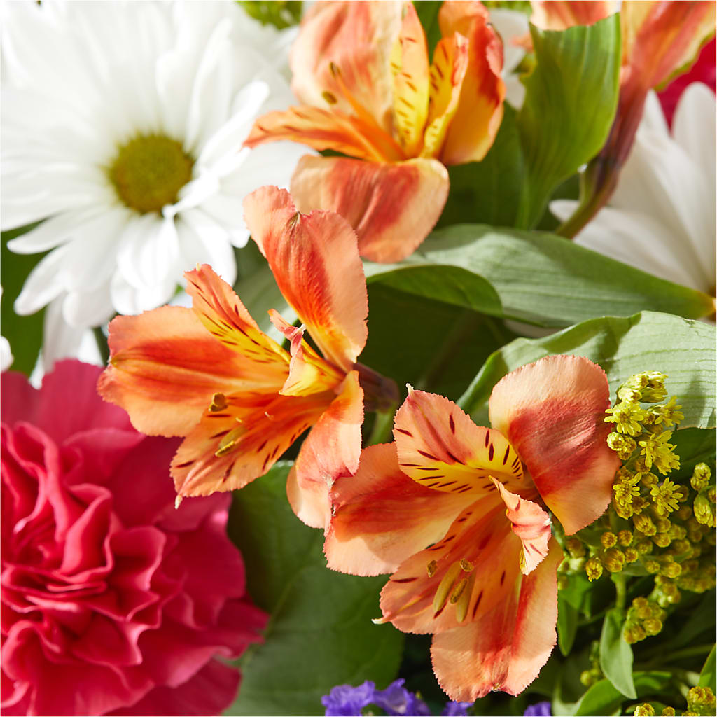 Oopsie Daisy Box Bouquet –  B Floral, Coalville UT