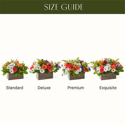 Oopsie Daisy Box Bouquet –  B Floral, Coalville UT
