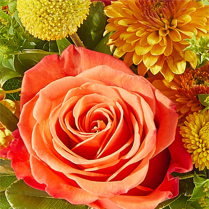 Gourdgeous Pumpkin –  B Floral, Coalville UT