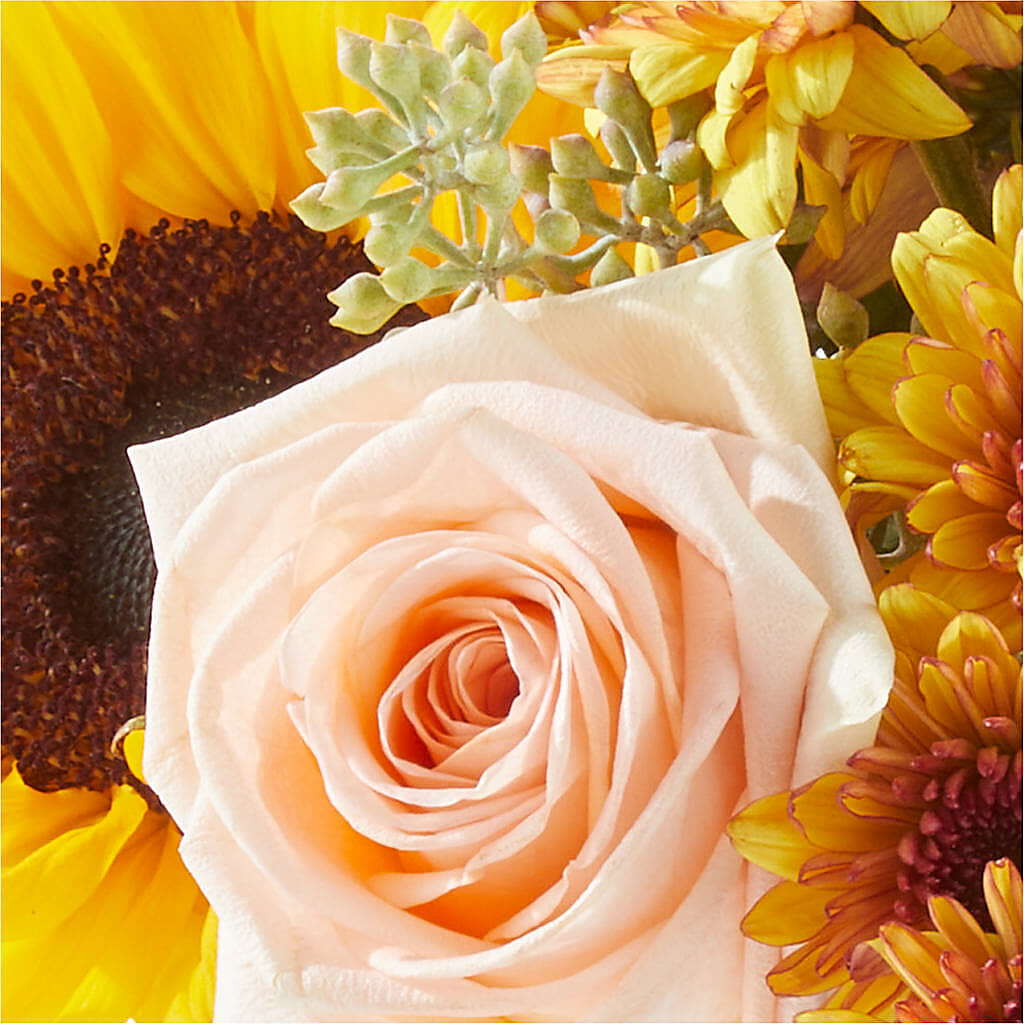 Pumpkin to Talk About Bouquet –  B Floral, Coalville UT