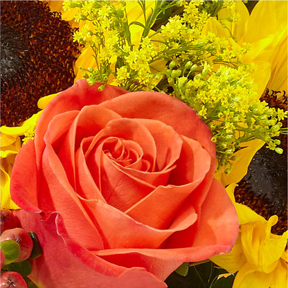 Pick of the Patch Pumpkin Bouquet –  B Floral, Coalville UT