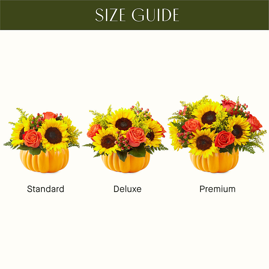 Pick of the Patch Pumpkin Bouquet –  B Floral, Coalville UT