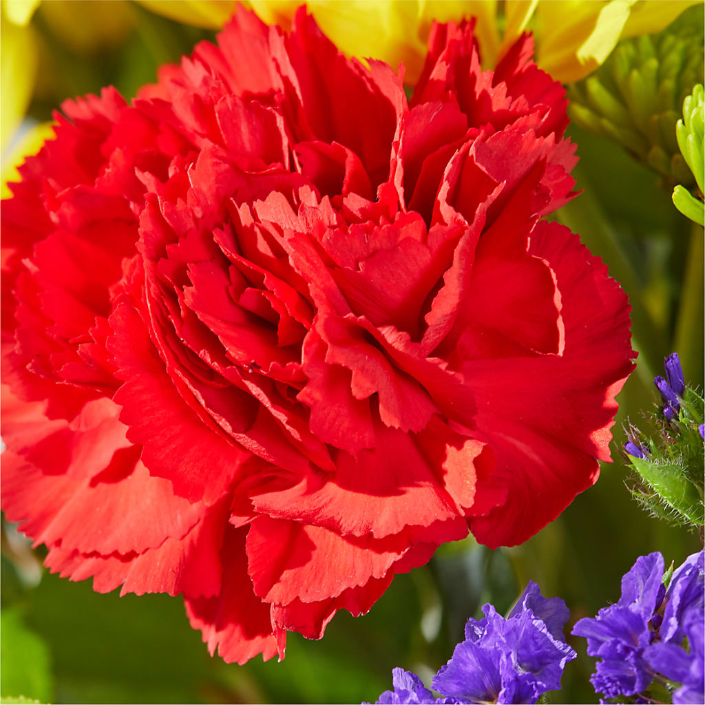 Brighter Days Bouquet –  B Floral, Coalville UT