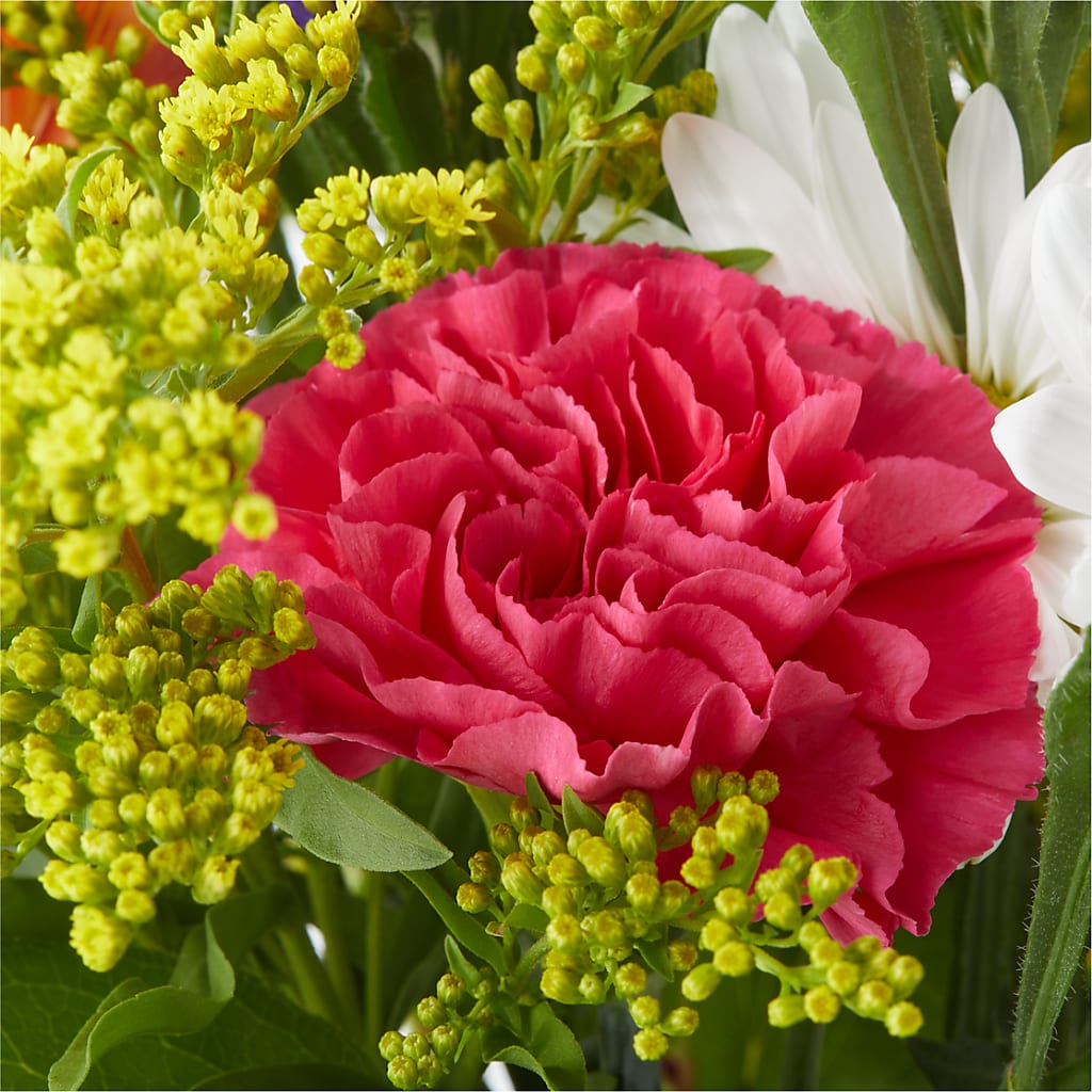 Oopsie Daisy Bouquet –  B Floral, Coalville UT