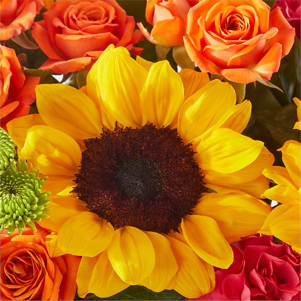 Sun-drenched Blooms Box Bouquet –  B Floral, Coalville UT