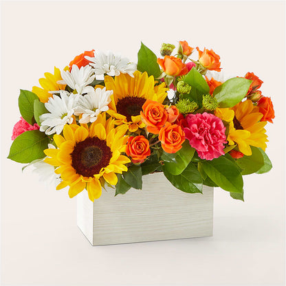Sun-drenched Blooms Box Bouquet –  B Floral, Coalville UT