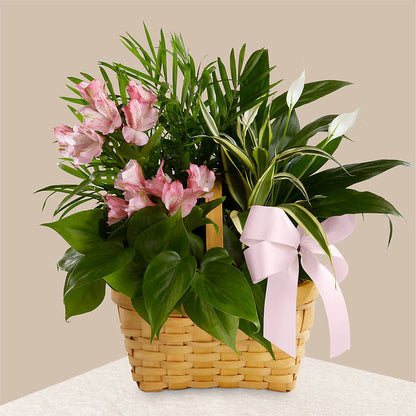 Living Spirit Dishgarden –  B Floral, Coalville UT