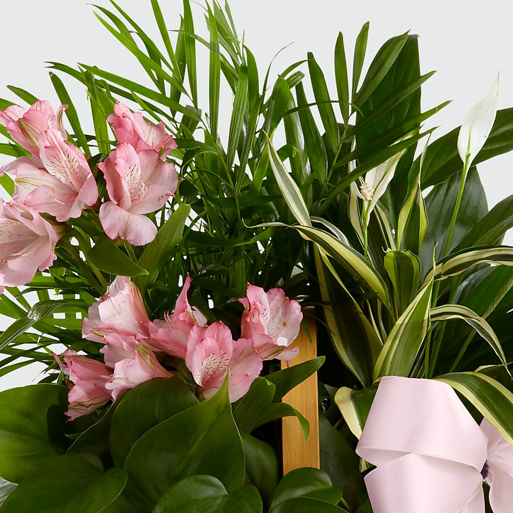 Living Spirit Dishgarden –  B Floral, Coalville UT