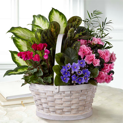 Peaceful Garden Planter –  B Floral, Coalville UT