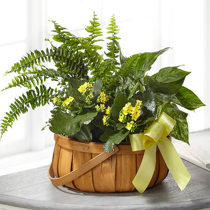 Always Dear Dishgarden –  B Floral, Coalville UT