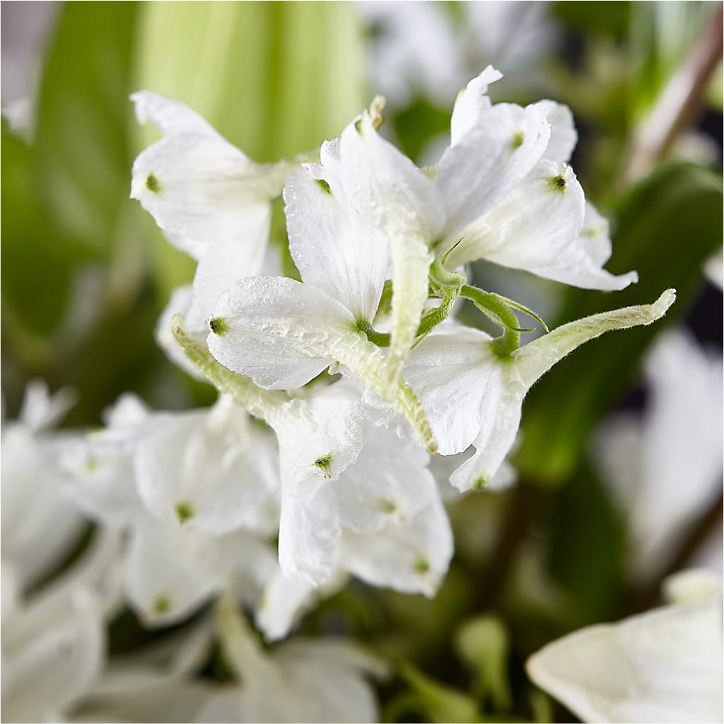 Classic Ivory – A Florist Original –  B Floral, Coalville UT