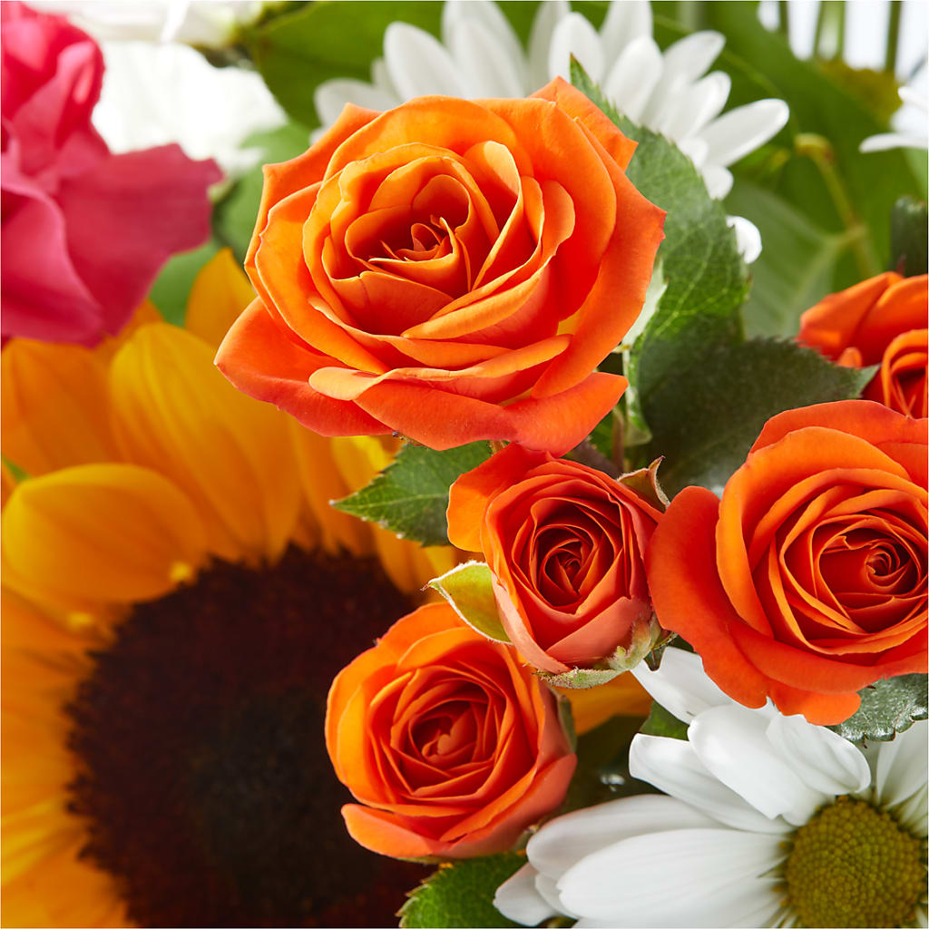 Sun-drenched Blooms Bouquet –  B Floral, Coalville UT