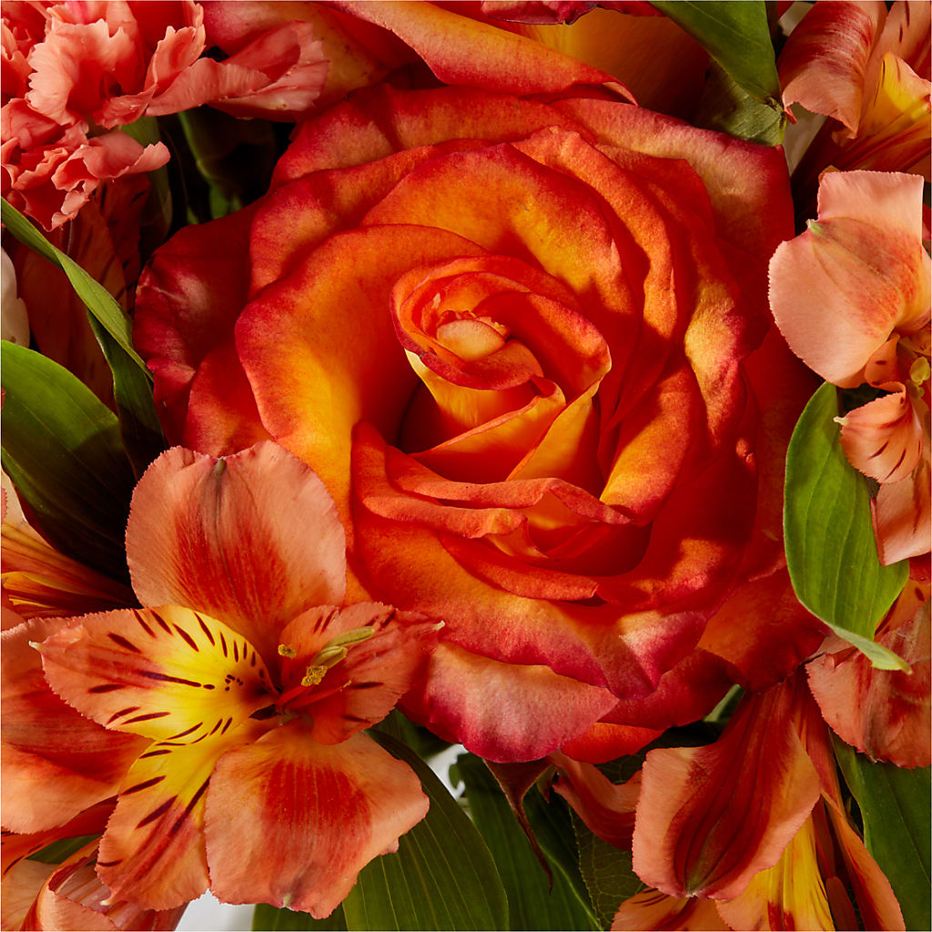 Apricot Glow Bouquet –  B Floral, Coalville UT