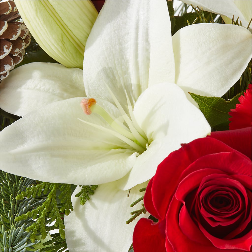 Oh So Jolly Bouquet –  B Floral, Coalville UT