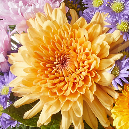 Countryside Bouquet –  B Floral, Coalville UT