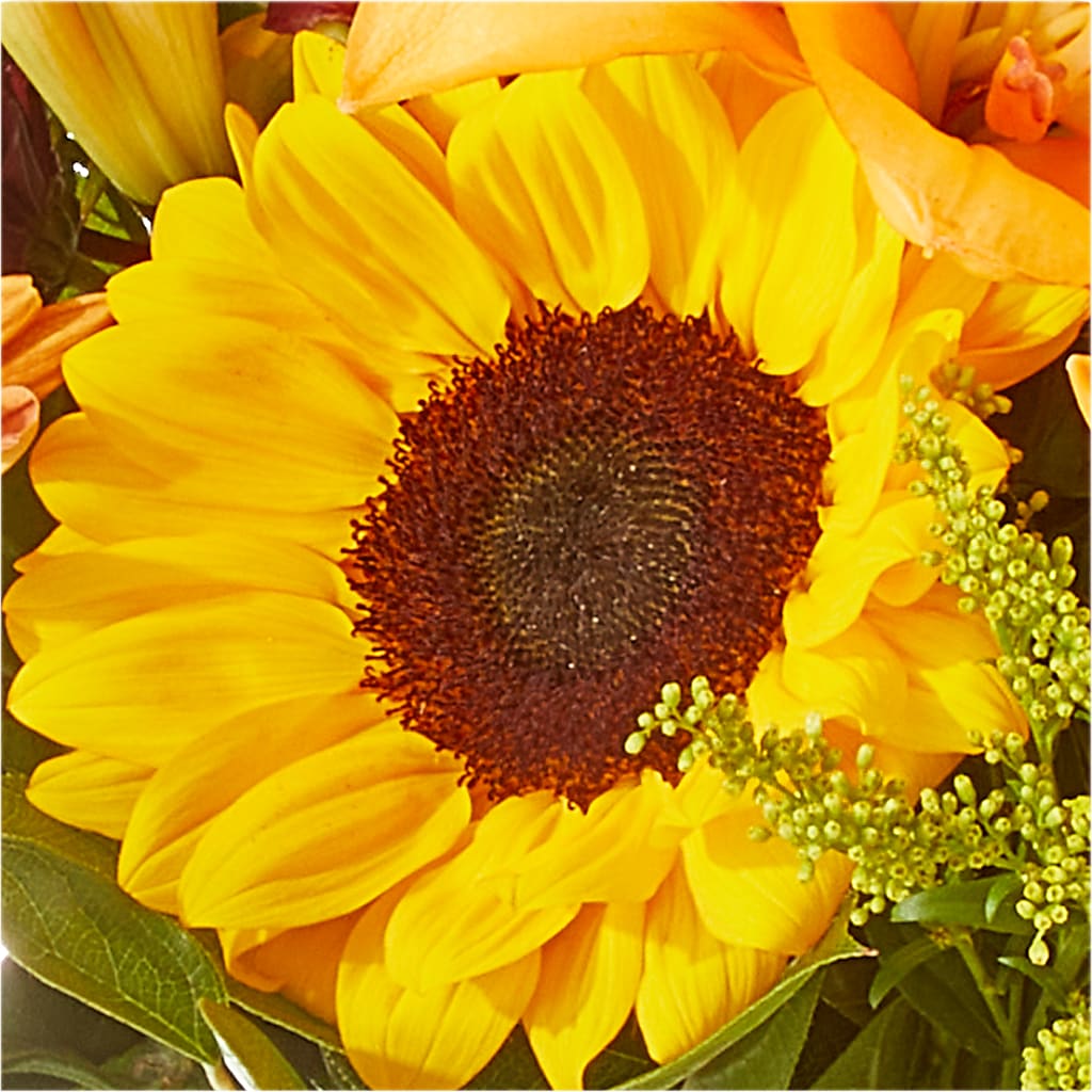 Seasons Change Bouquet –  B Floral, Coalville UT