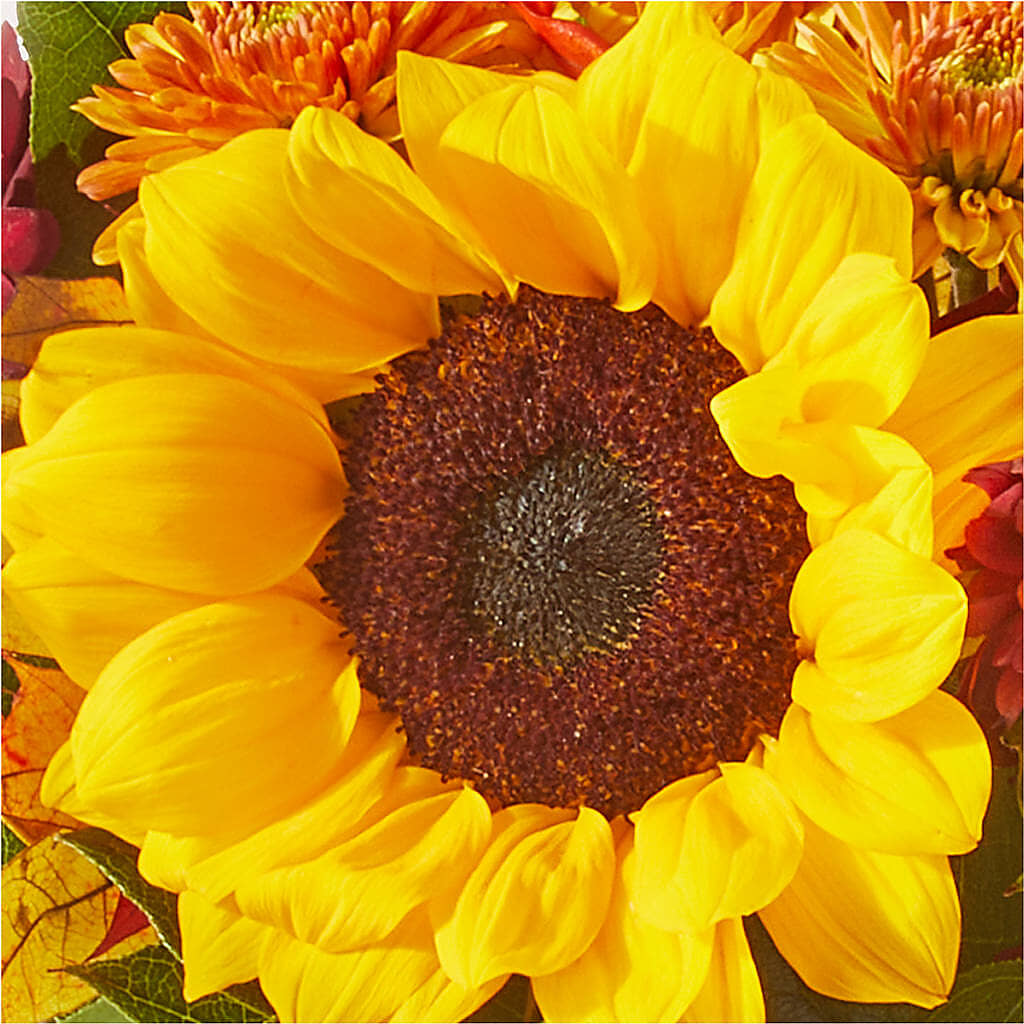 Sunny Side Bouquet –  B Floral, Coalville UT