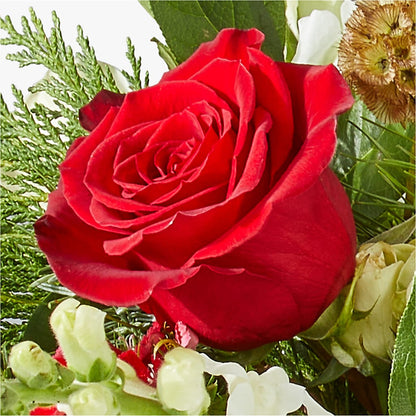 Deck the Halls Bouquet –  B Floral, Coalville UT