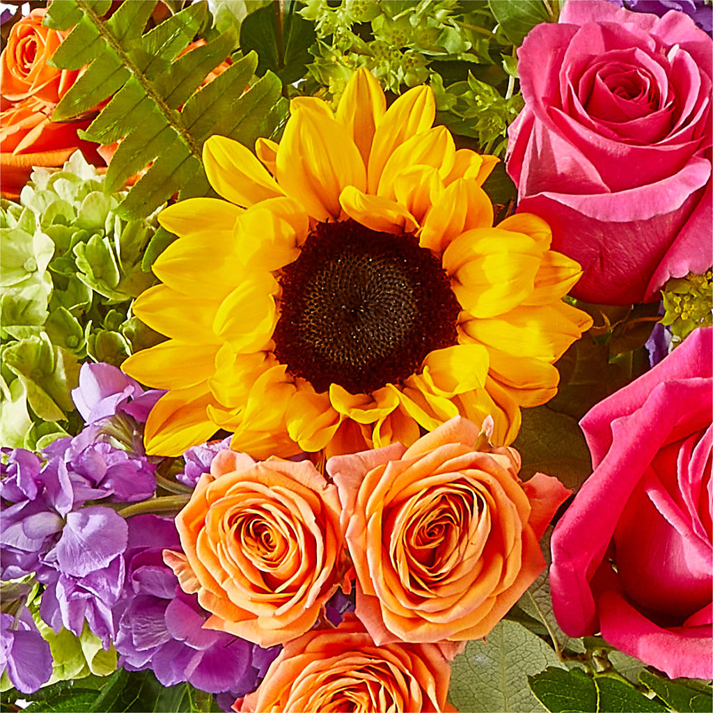 Vibrant Greetings Bouquet –  B Floral, Coalville UT