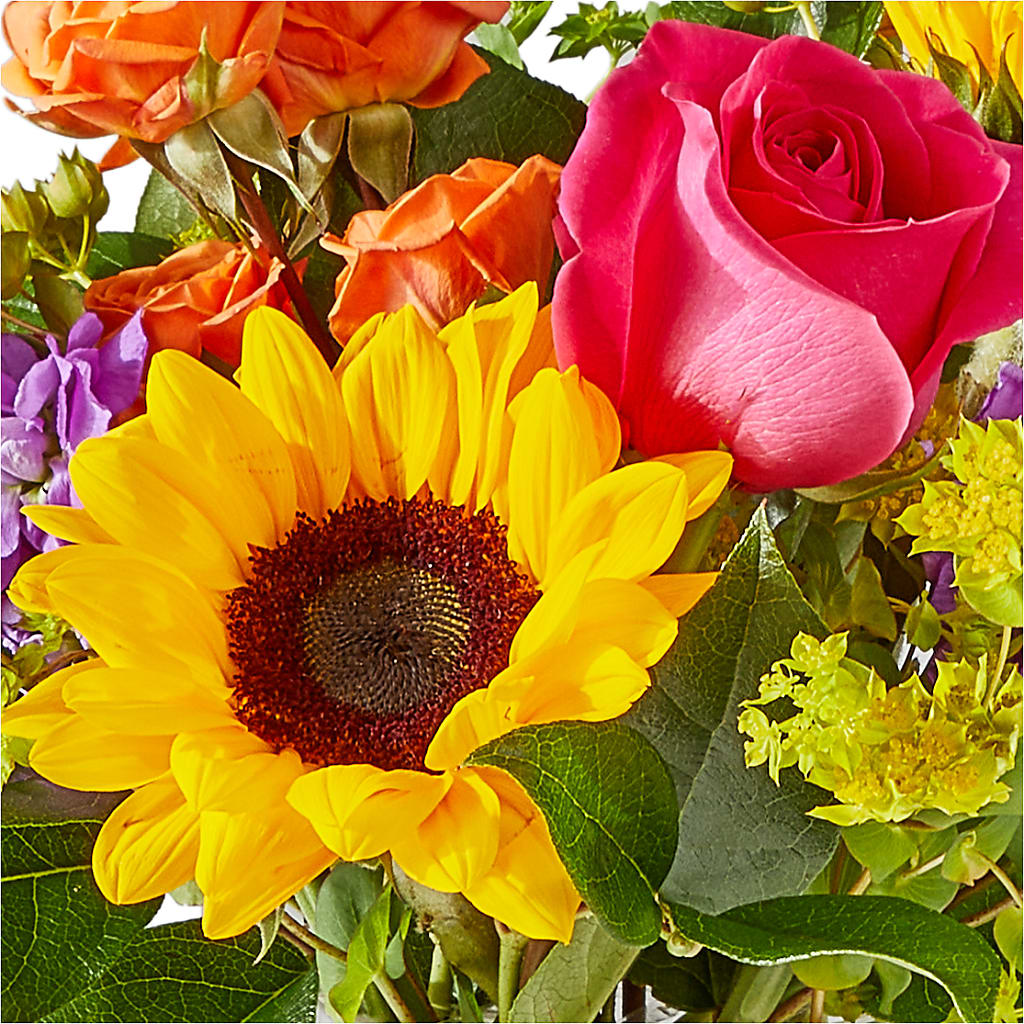 Vibrant Greetings Bouquet –  B Floral, Coalville UT