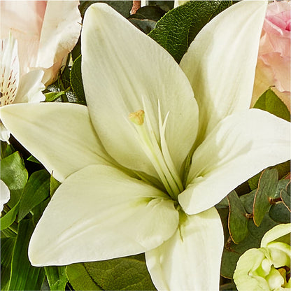 Ballet Slippers Bouquet –  B Floral, Coalville UT
