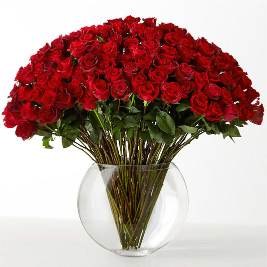 The Idealist –  B Floral, Coalville UT