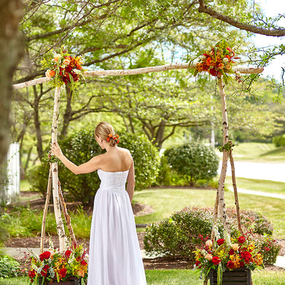 Arbor of Love Archway –  B Floral, Coalville UT