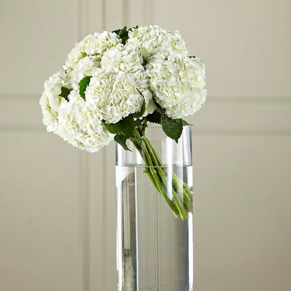 White Hydrangea Hand-Tied Bouquet –  B Floral, Coalville UT