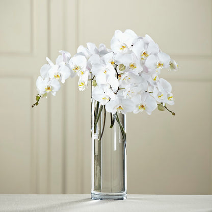 White Phalaenopsis Bouquet –  B Floral, Coalville UT